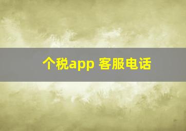 个税app 客服电话